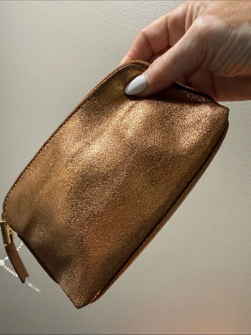 India Hicks Bronze Firefly Metallic Cosmetic Pouch w/ Dust Bag
